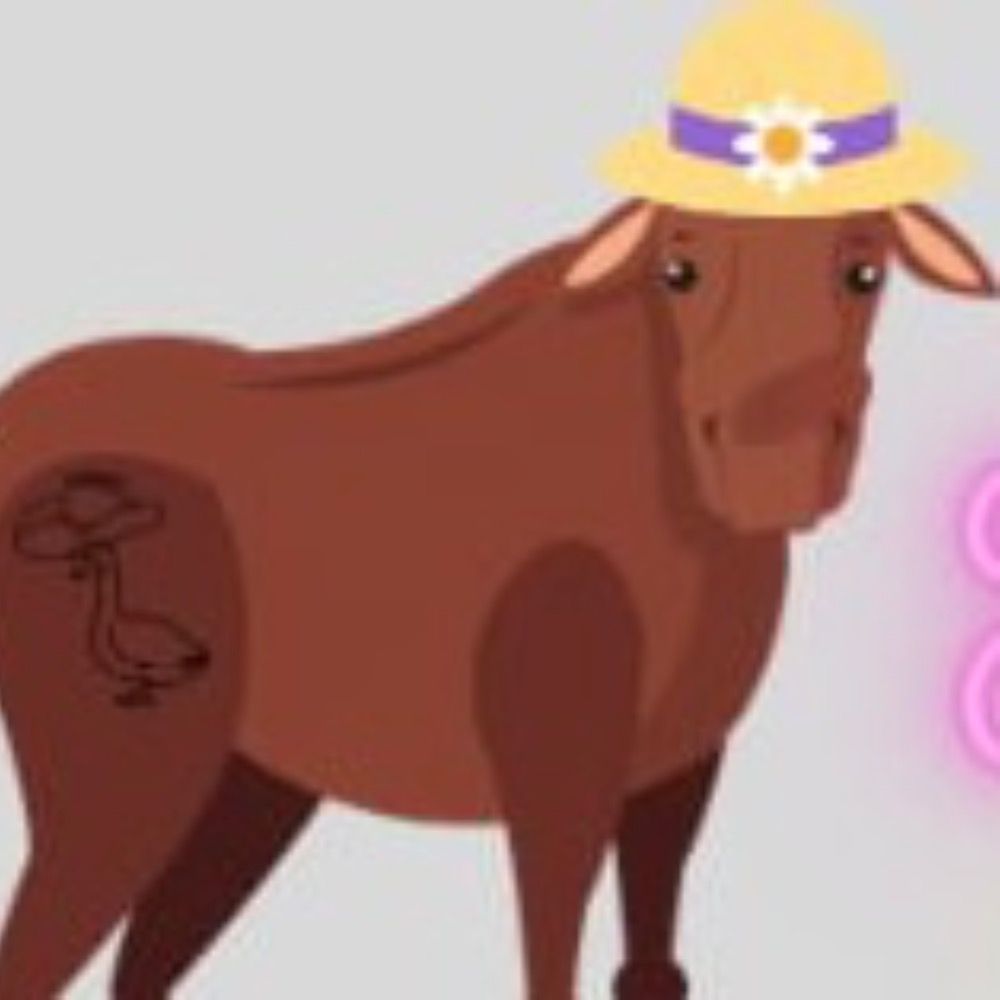 Moose