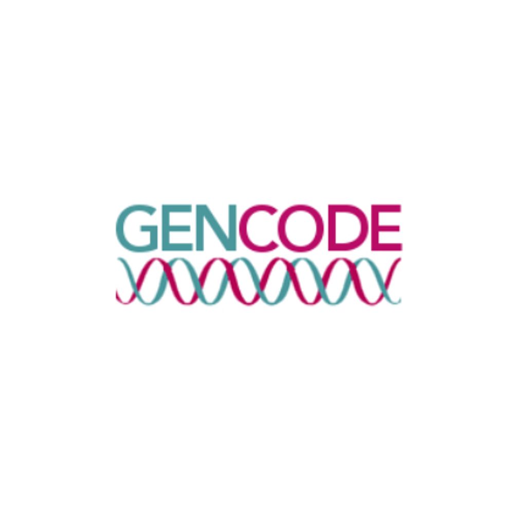 Gencode Genes