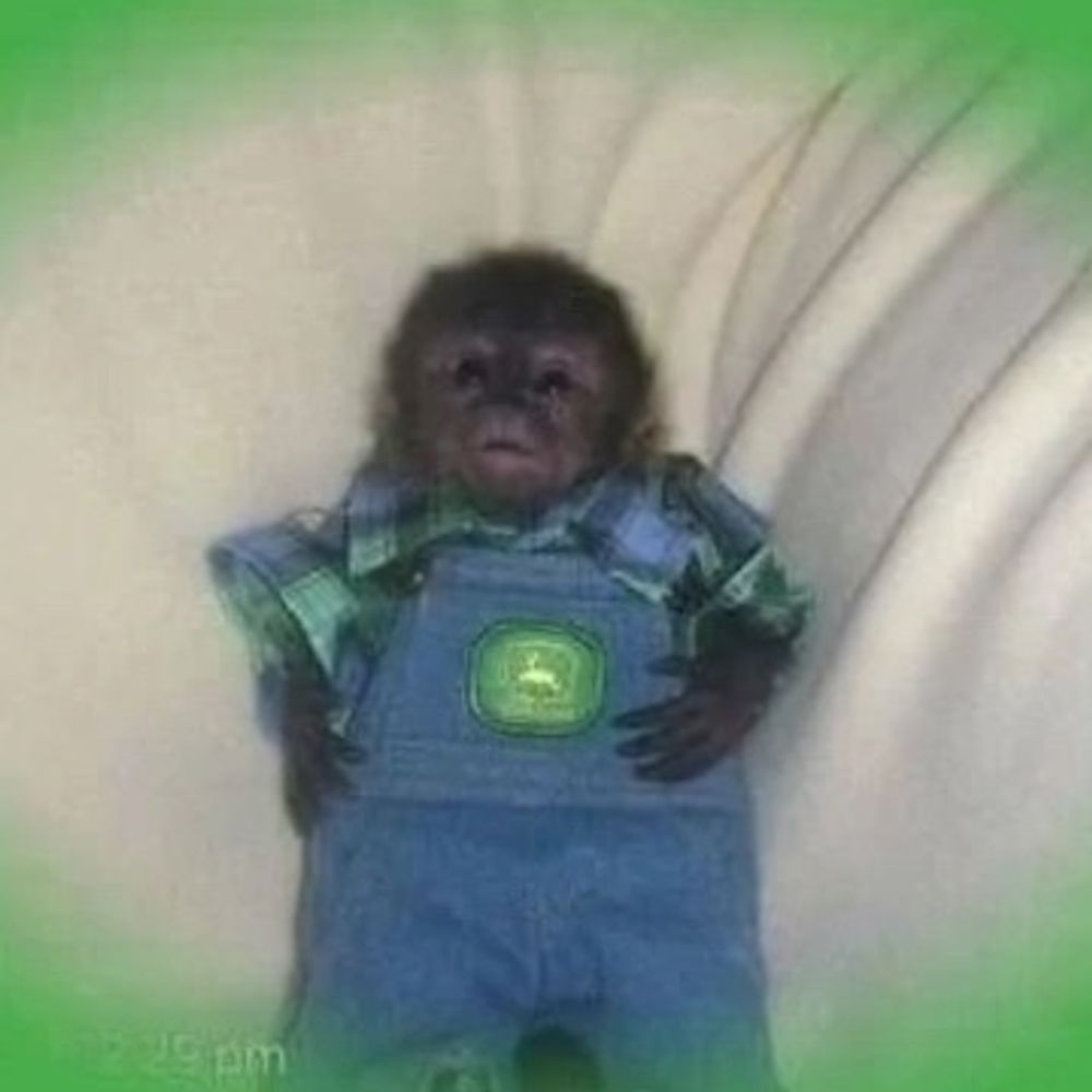 dan