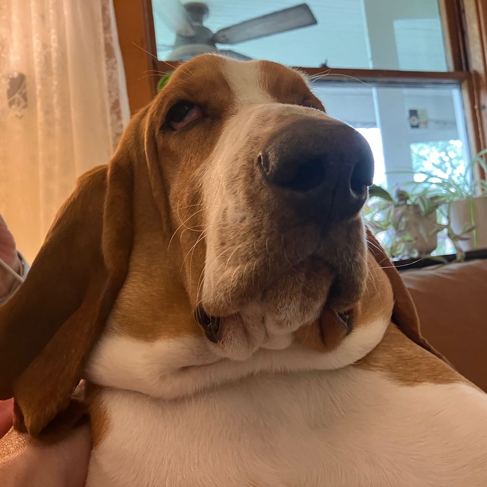 Angela