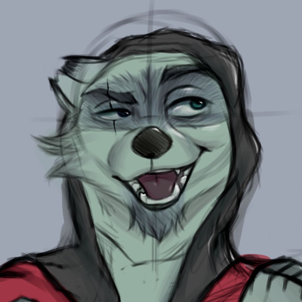 Raccoon24