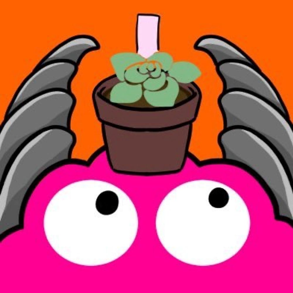 きょう🪴多肉垢