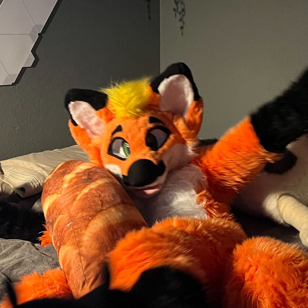 Akai fox