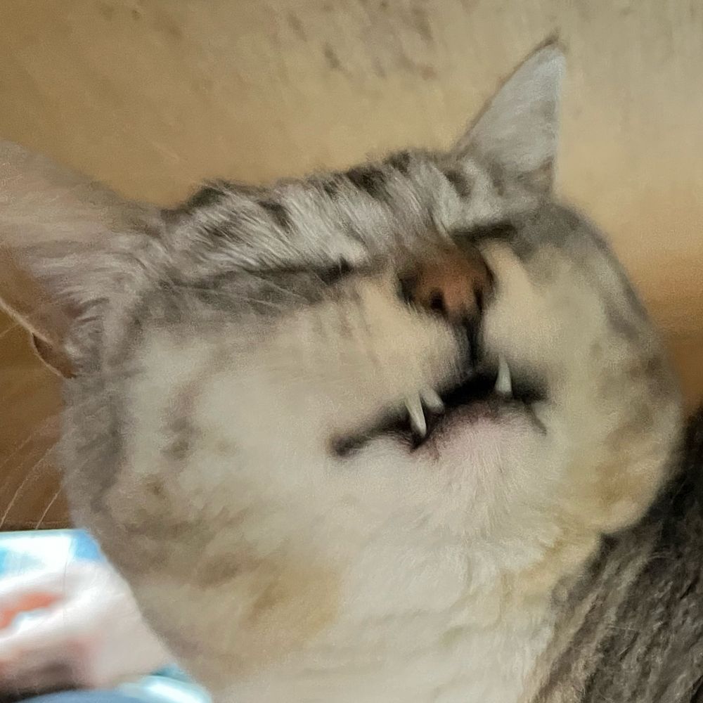 さば