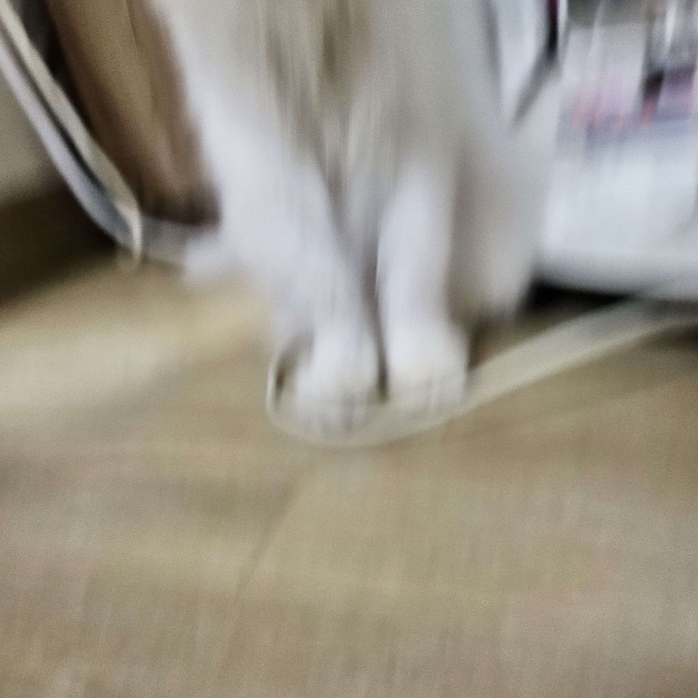 안