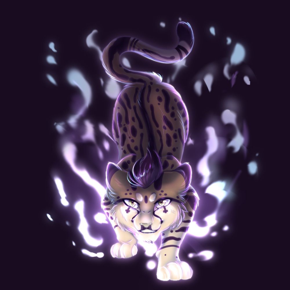 Shutter