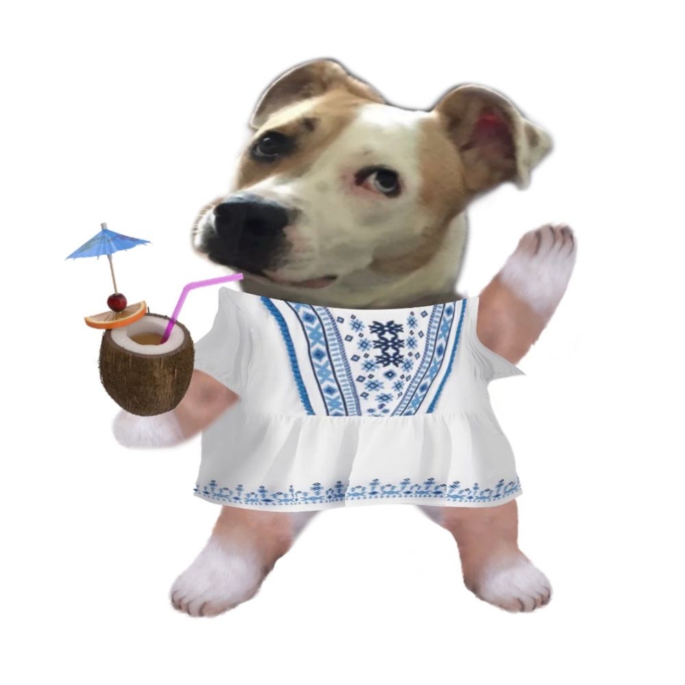 Jolie