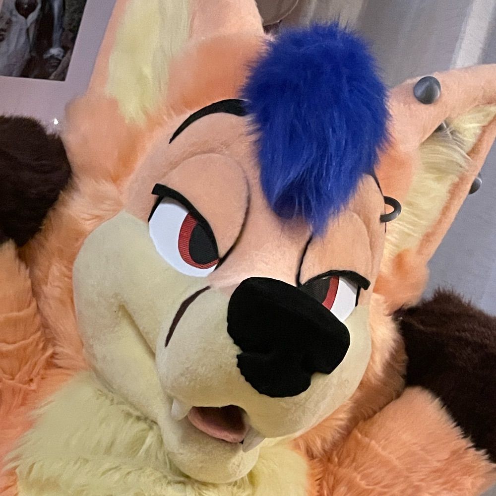 Wyatt Fox