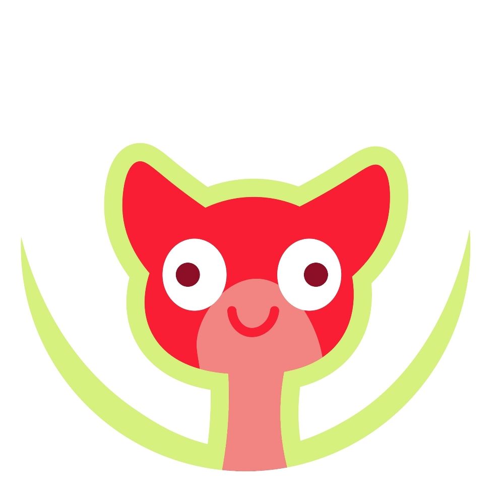 Кот Паша