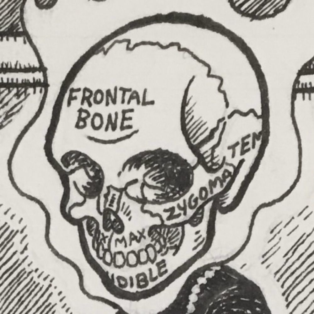 A Skull On Fire
