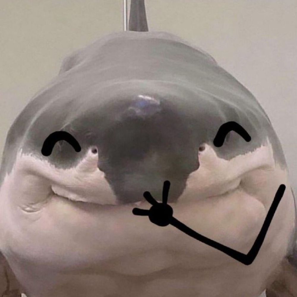 ro ୭ ˚. ᵎᵎ