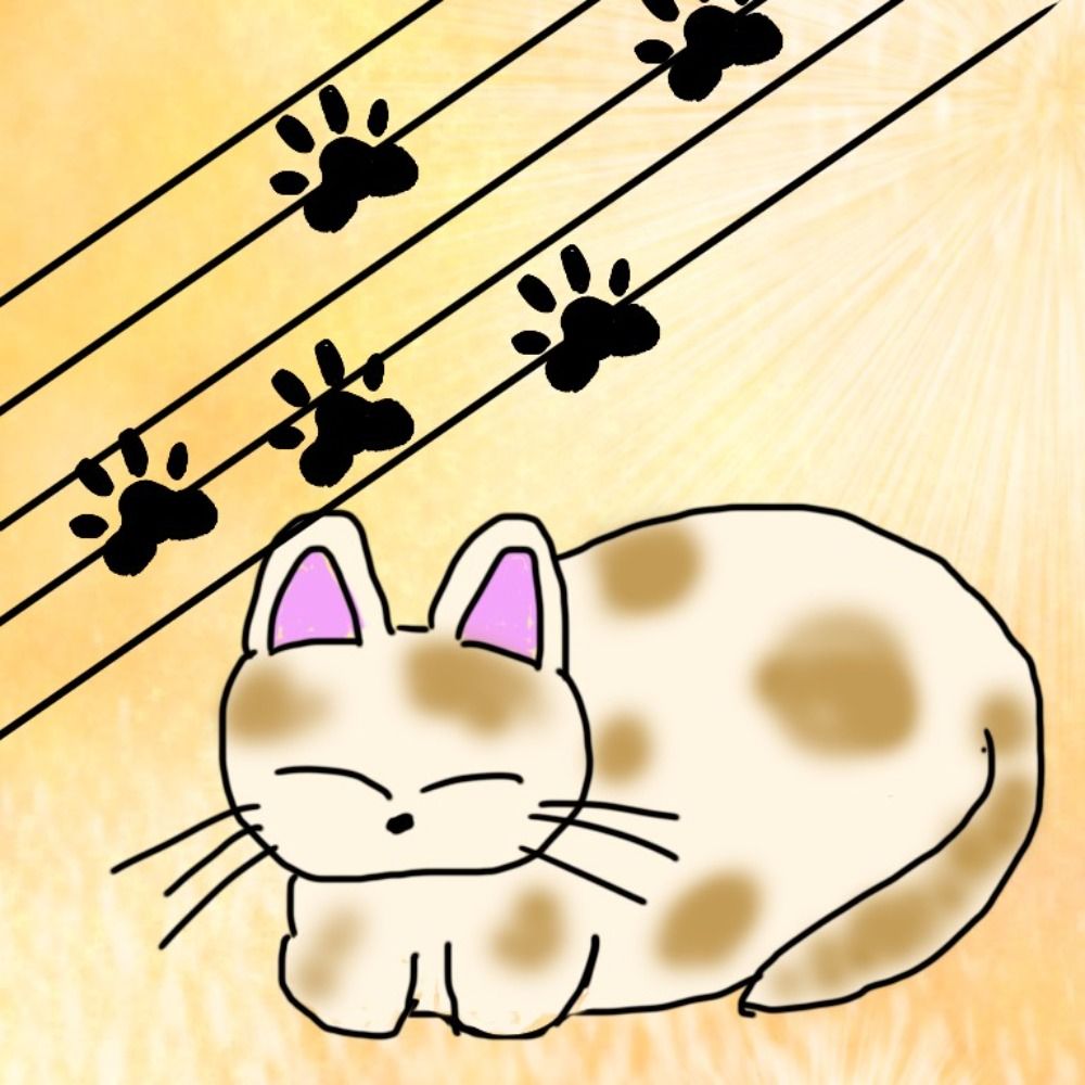 catoheko（さとねこ）@音猫工房