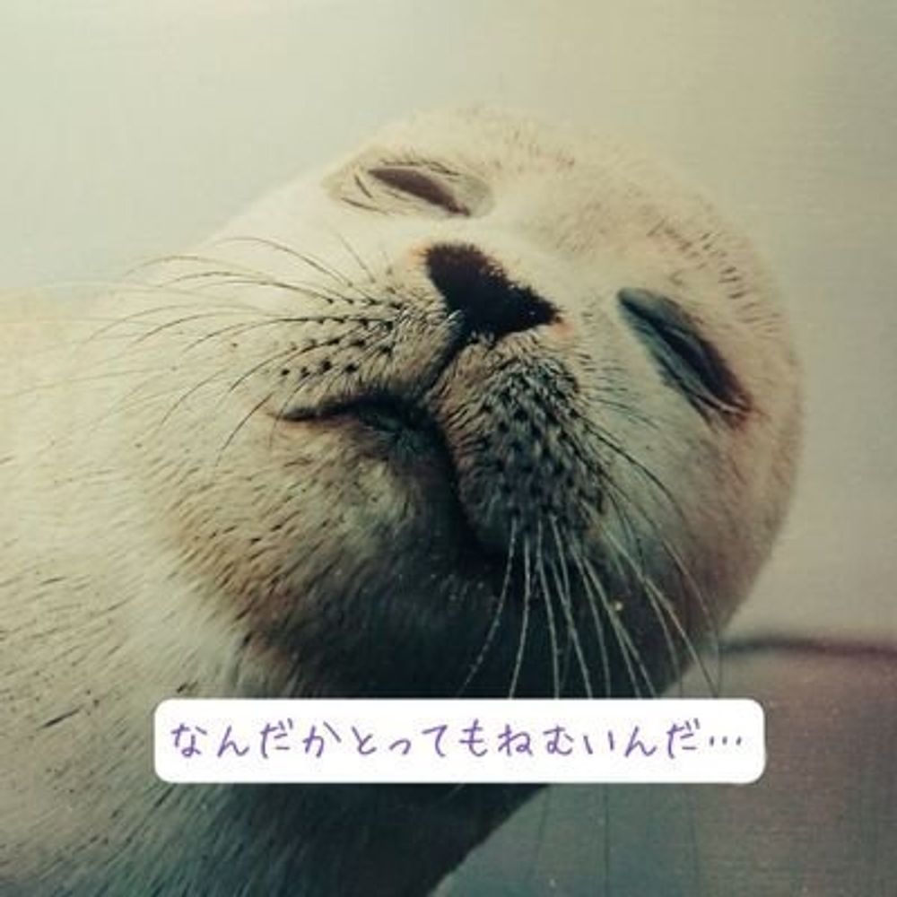 羽後ノ筍