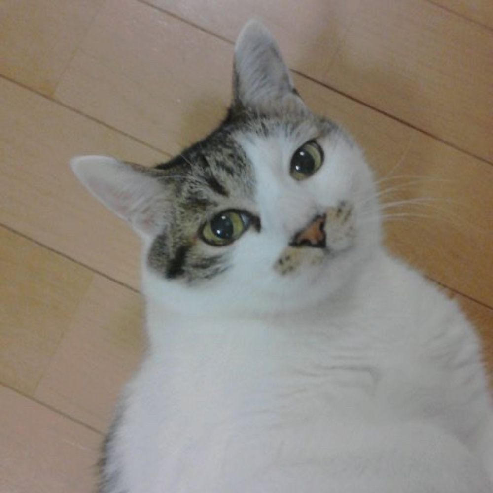 かがみ