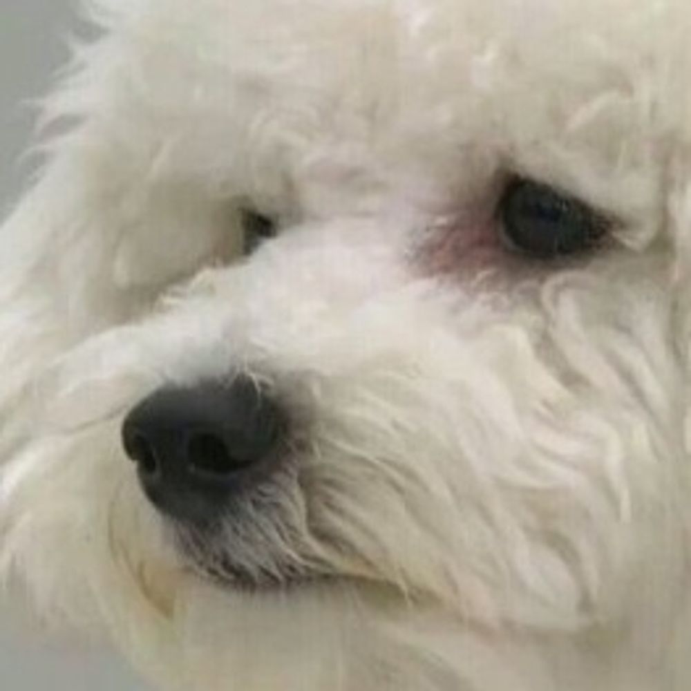 망구리