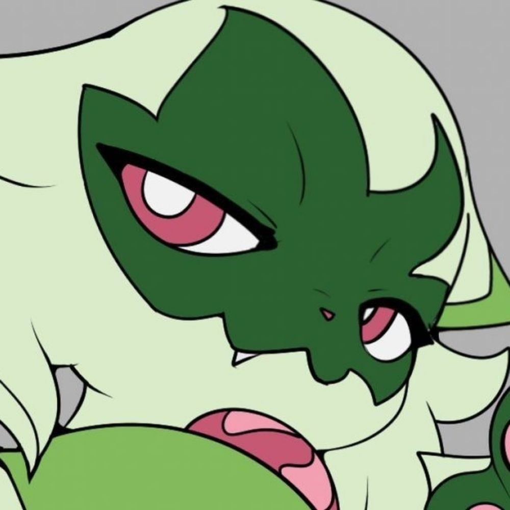 Roko! 🌱