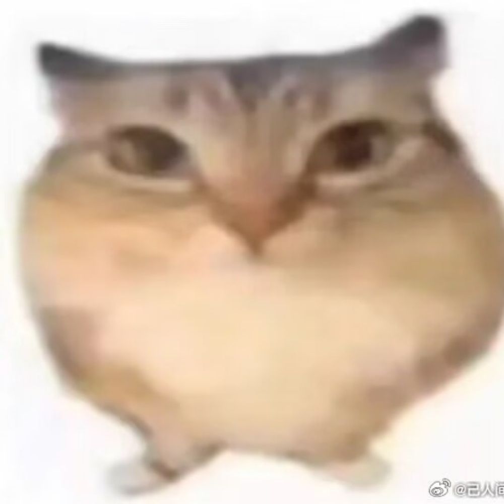 槭蘭