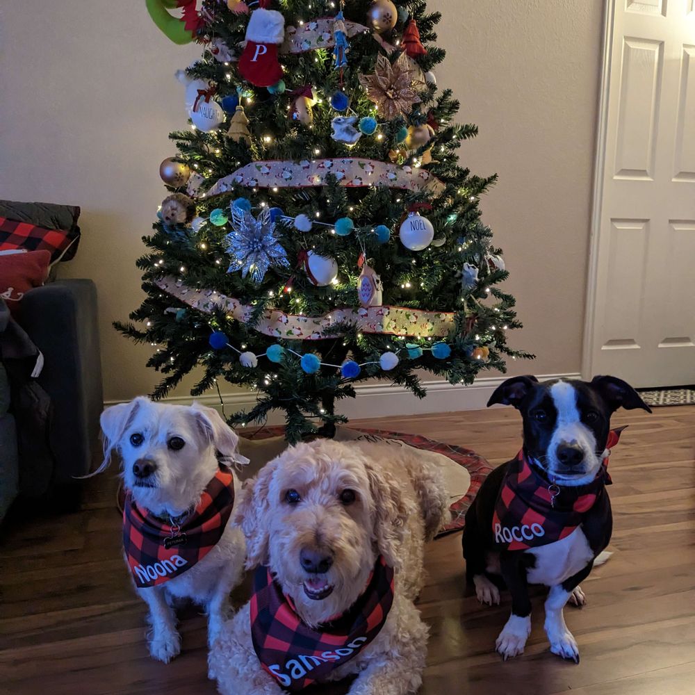 Tail Wagging Squad