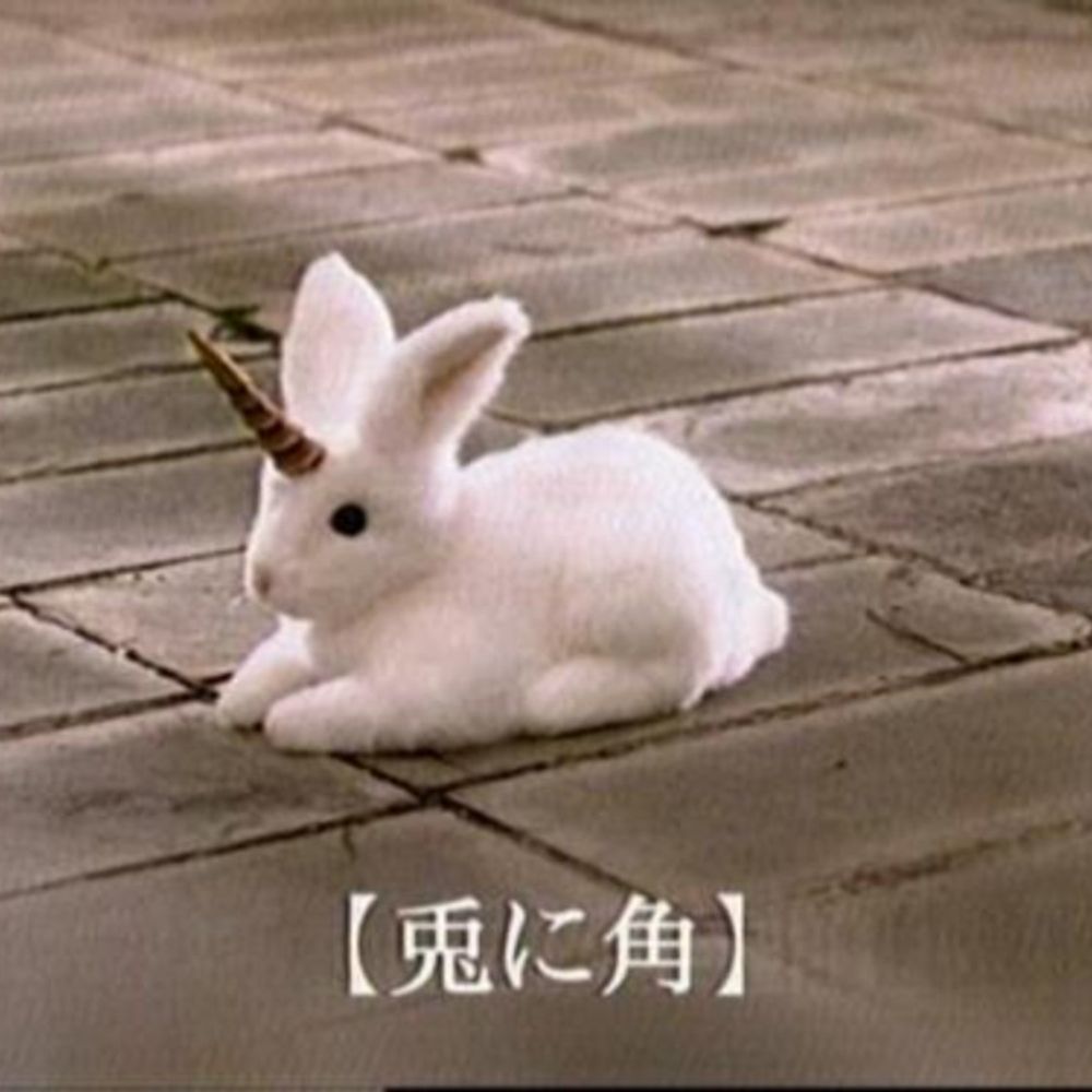 🐈‍⬛レヘルン🐇🐧