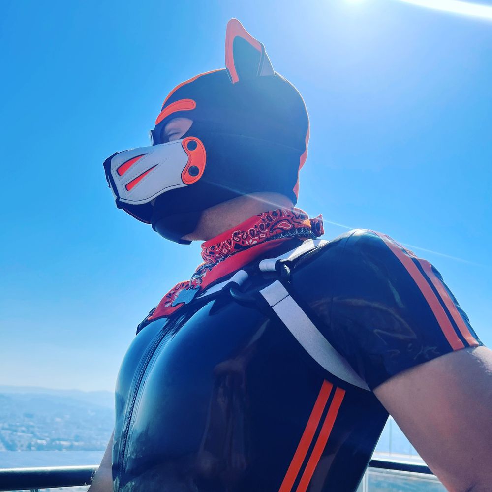 PUP ÆRO 🔜 MIR