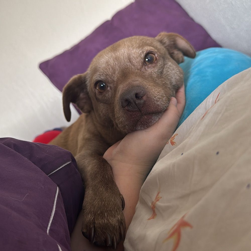 Sammy