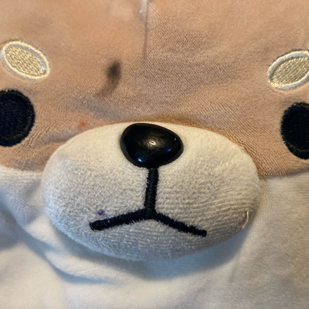 Pup