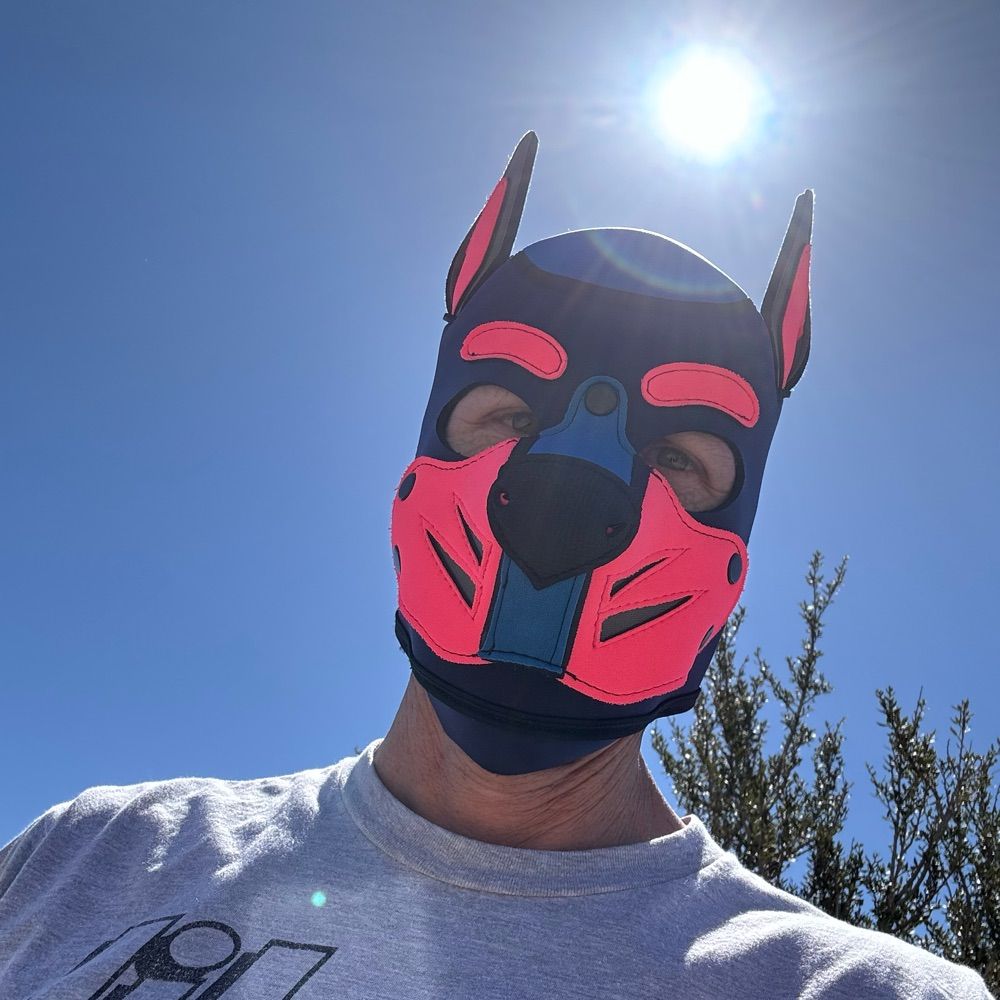Pup_Band1t