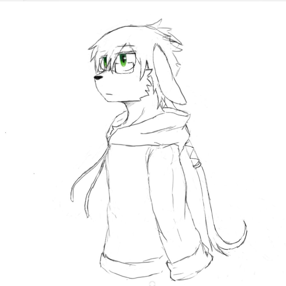 Zeht