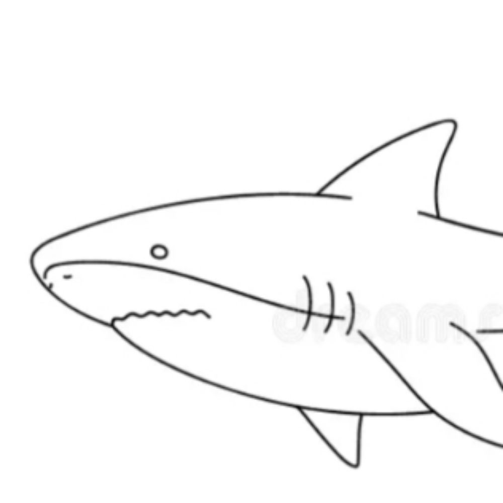 Profile picture perfectshark.bsky.social