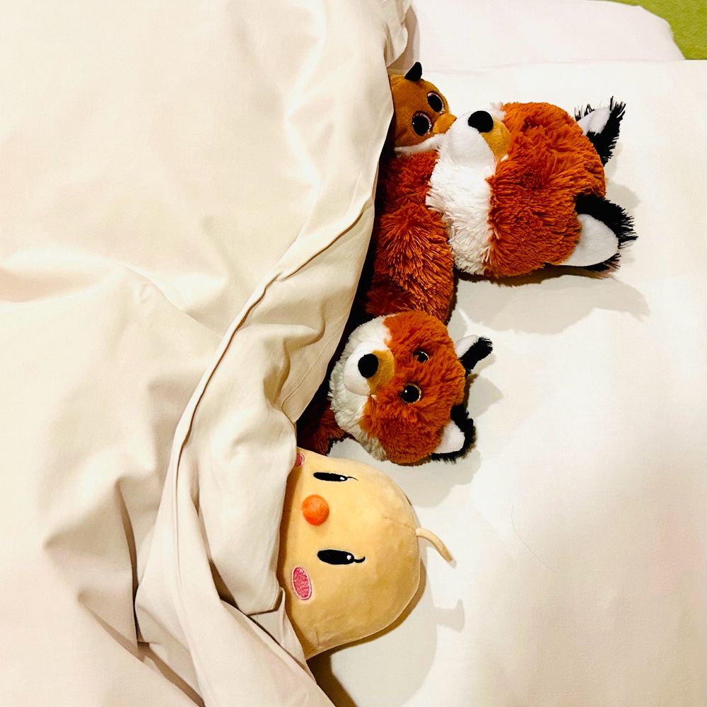 ウィジャ盤担当カワウソ狼