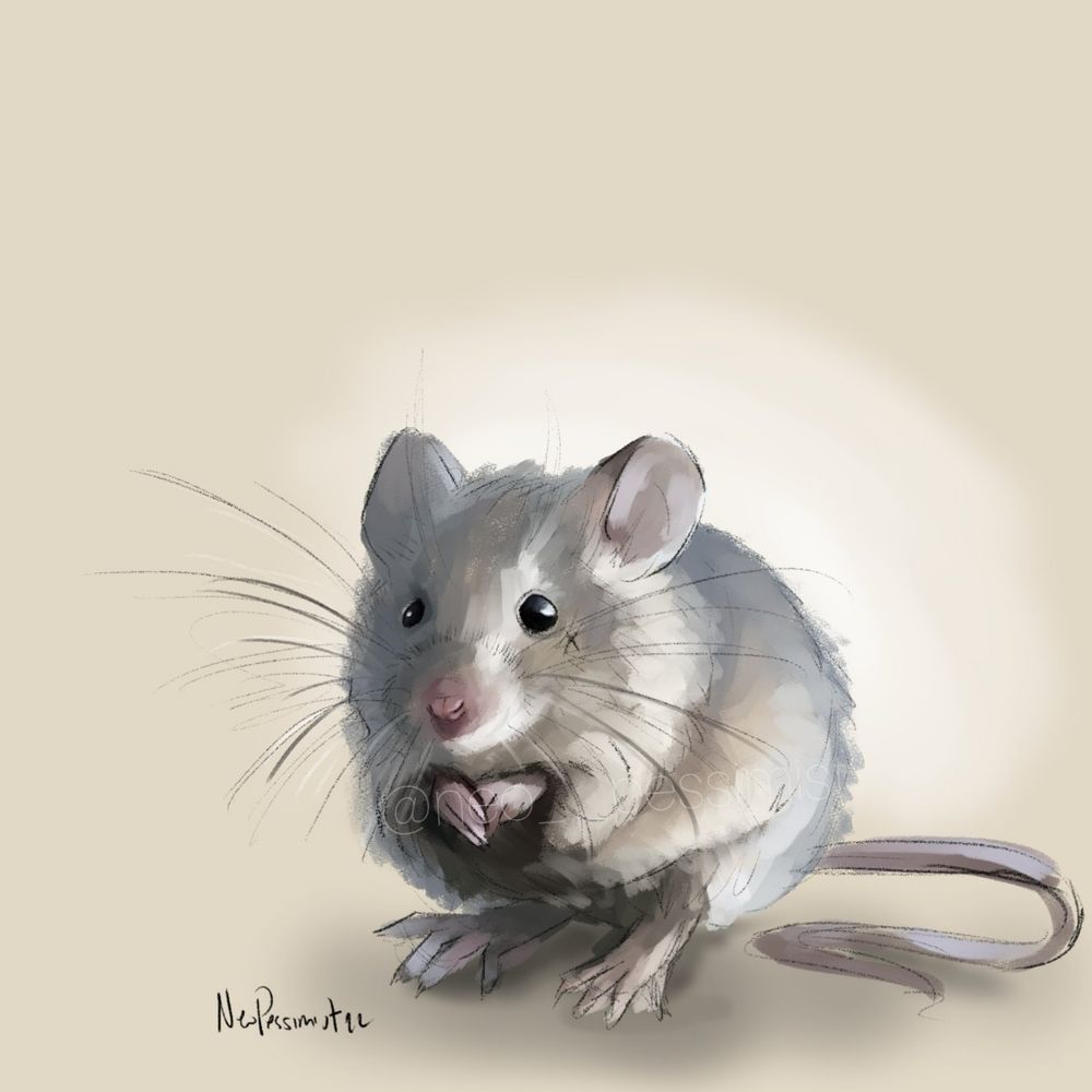 Mouse | ofmd spoilers abound