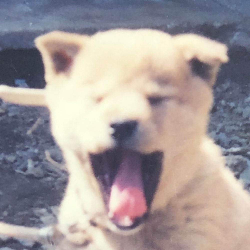 葉月レオ