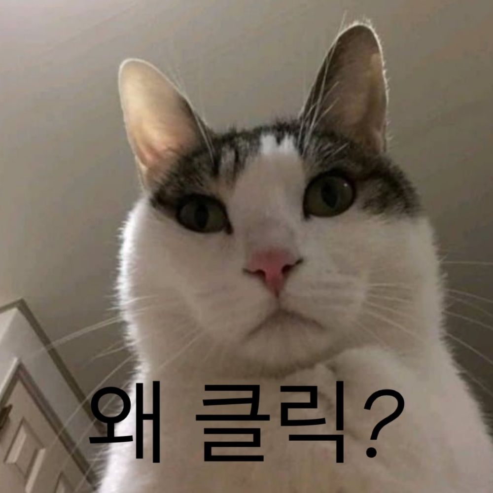 뒈진몬