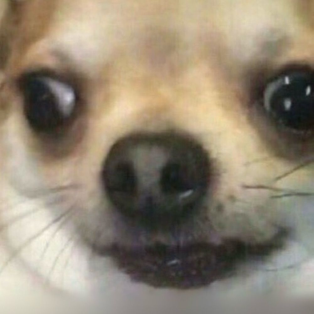 kemy