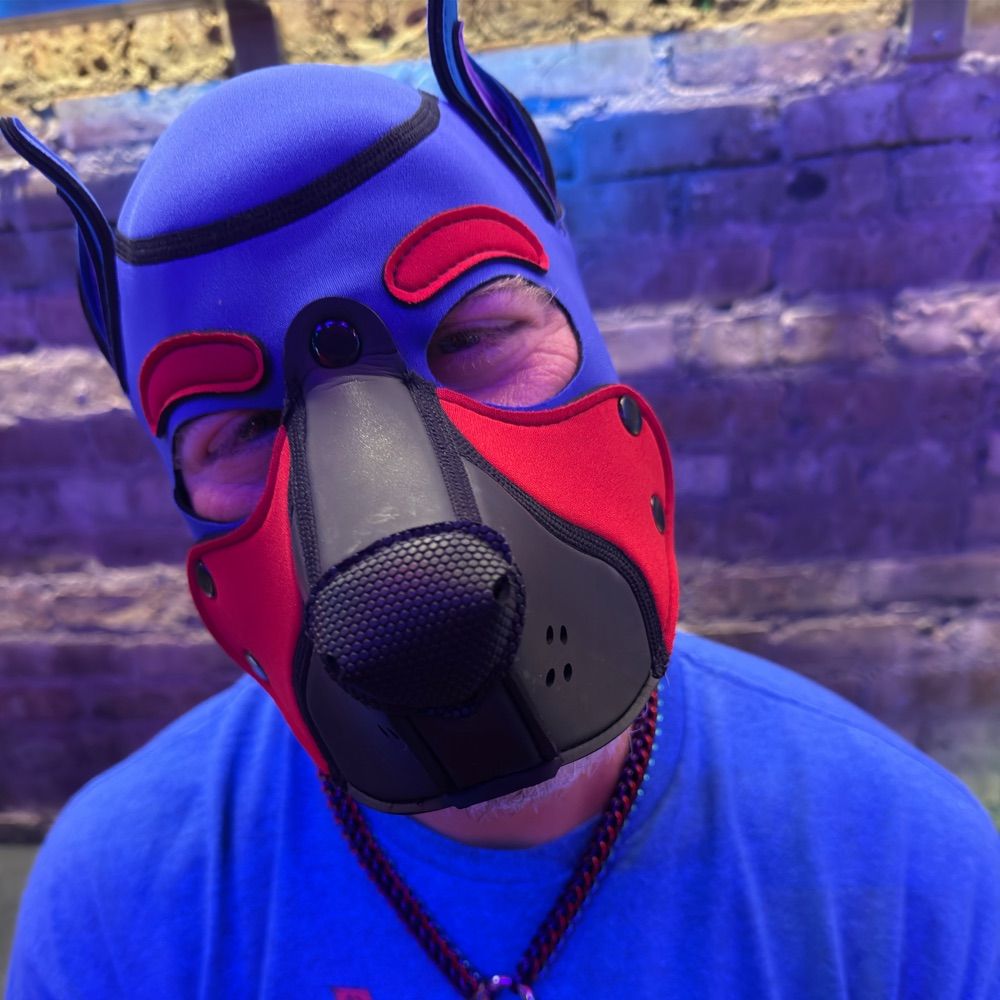 Pup Korg Willams