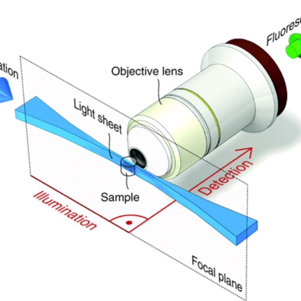 Light-Sheet Fluorescence Microscopy (LSFM) course