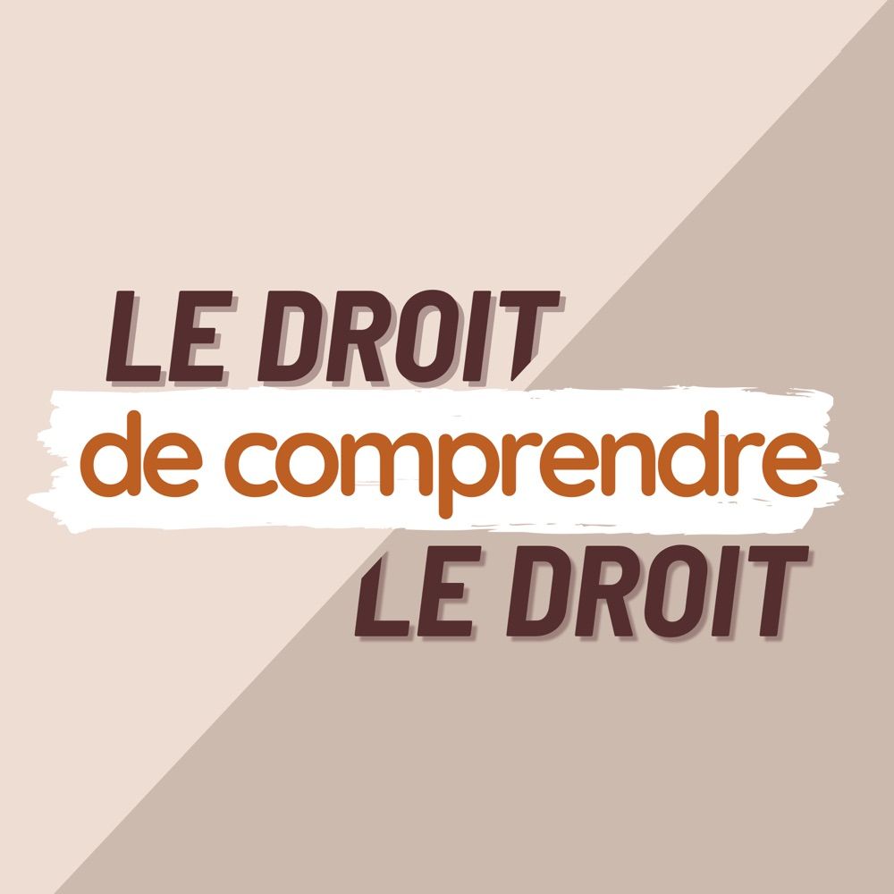 Ledroitdecomprendreledroit