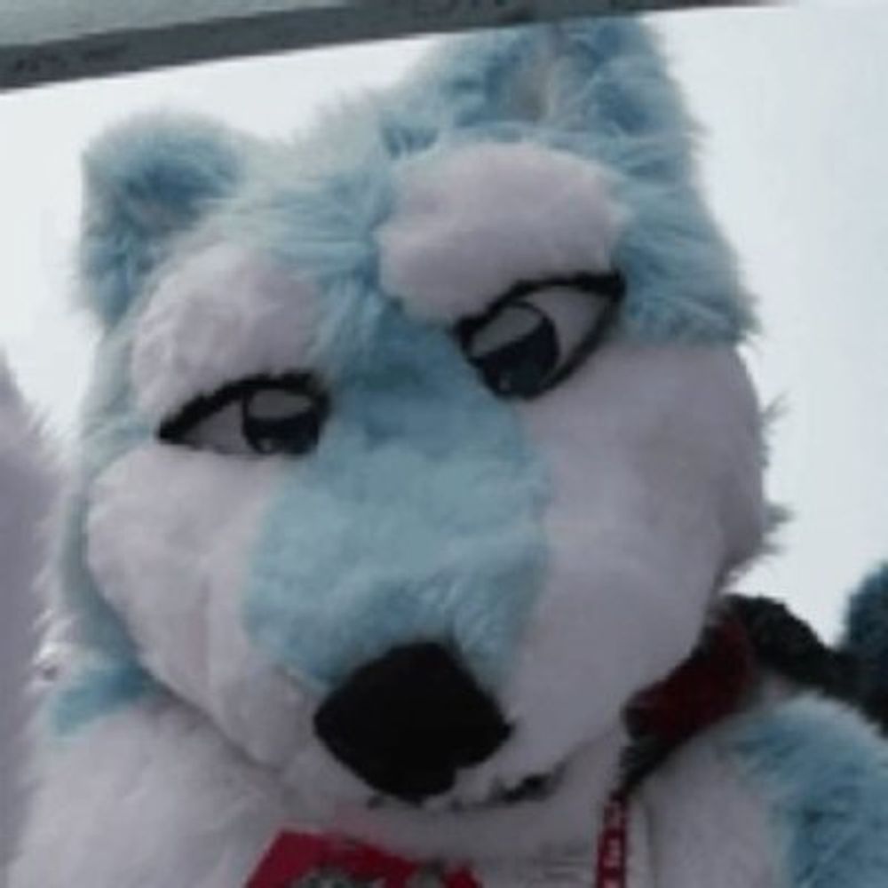 Vibi Wuff