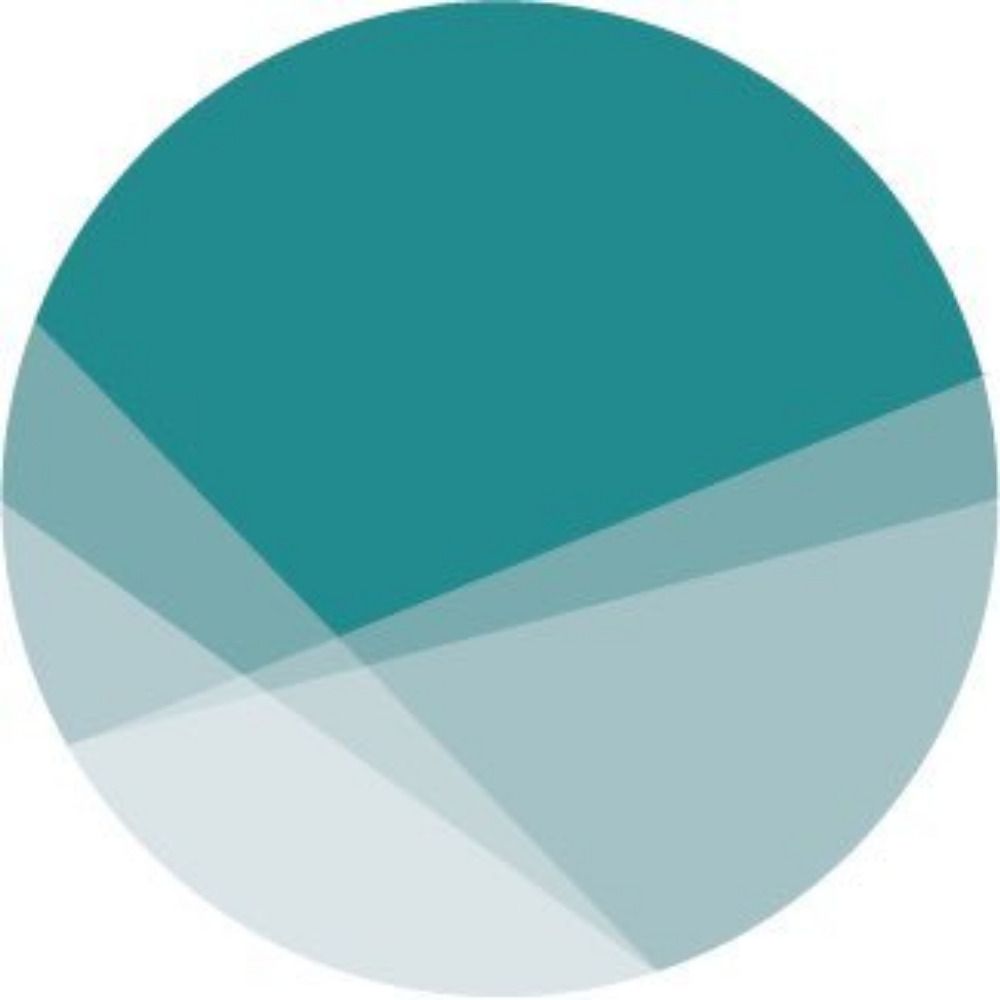 Accounting for Transparency