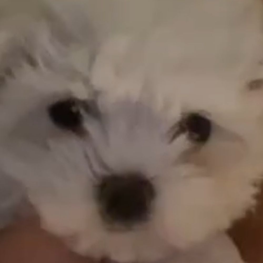 카인