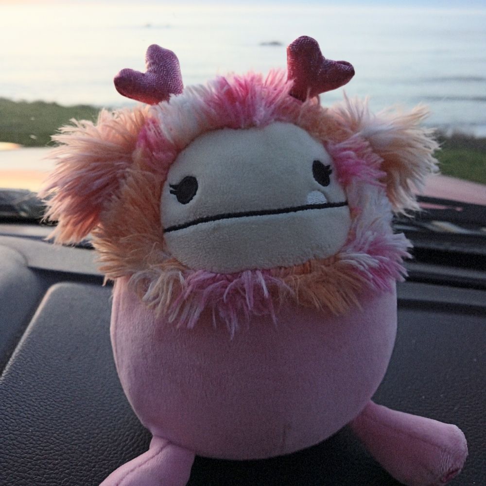 H. E. R. B. Plop