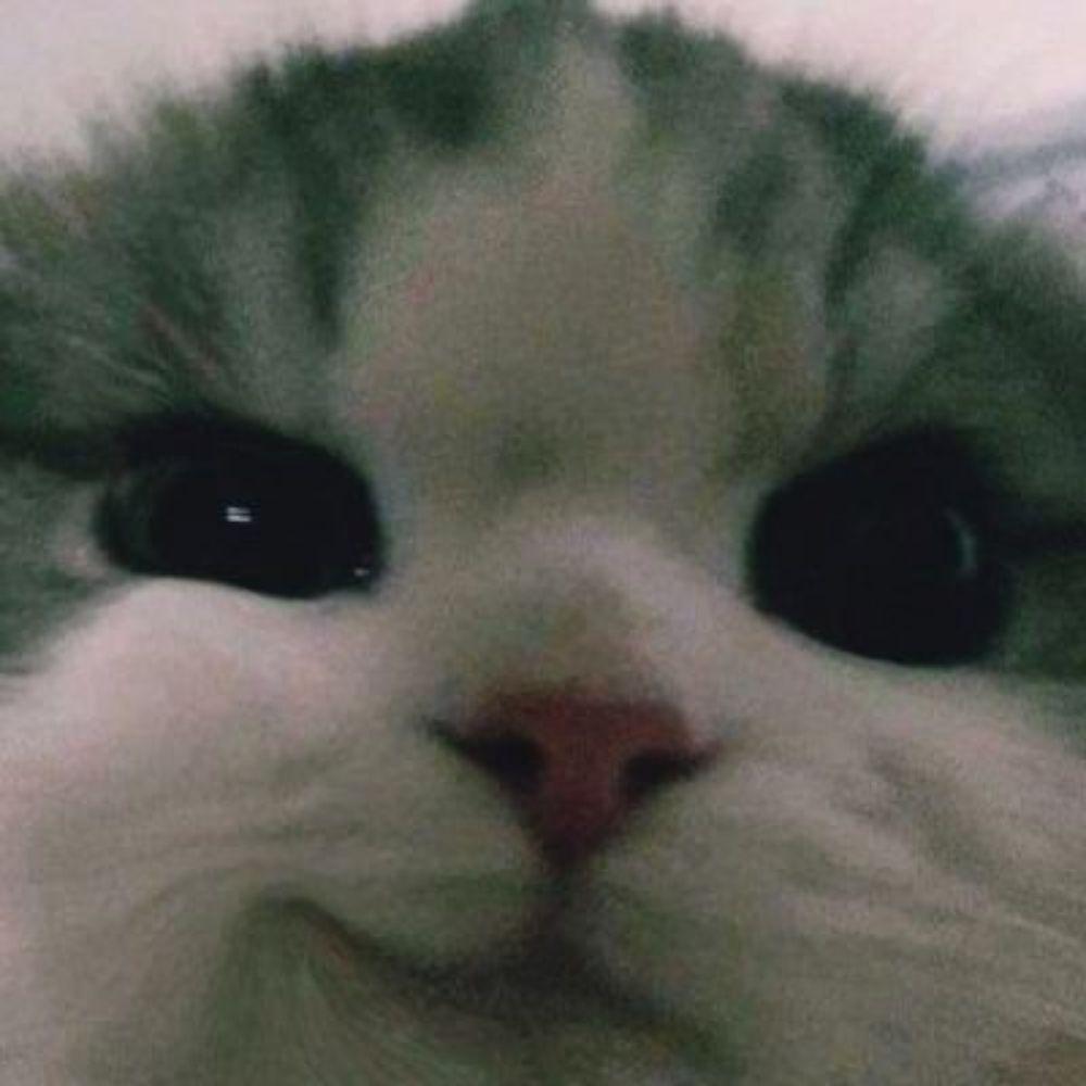 Let