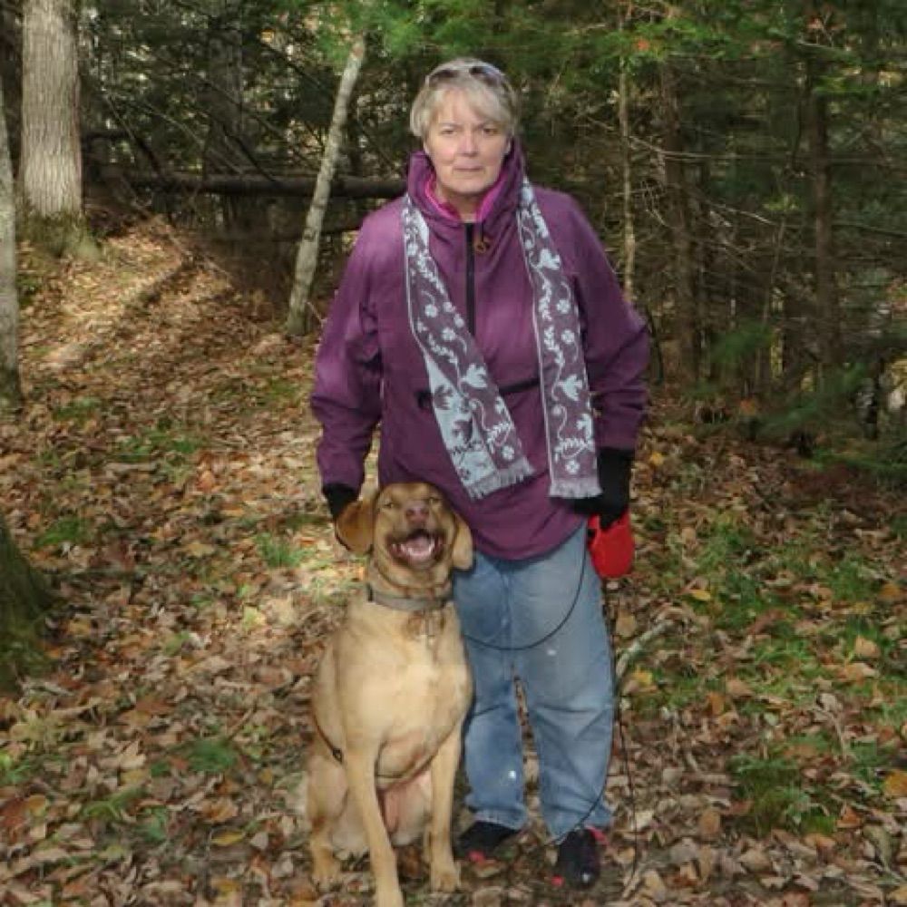 Becky Harvey Mailloux