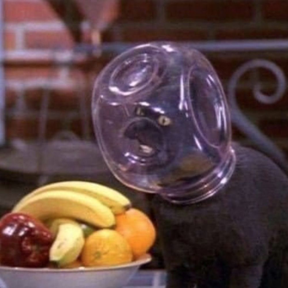 ninetiesformula
