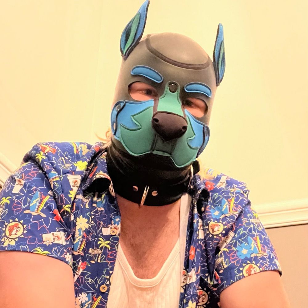 Pup Samara