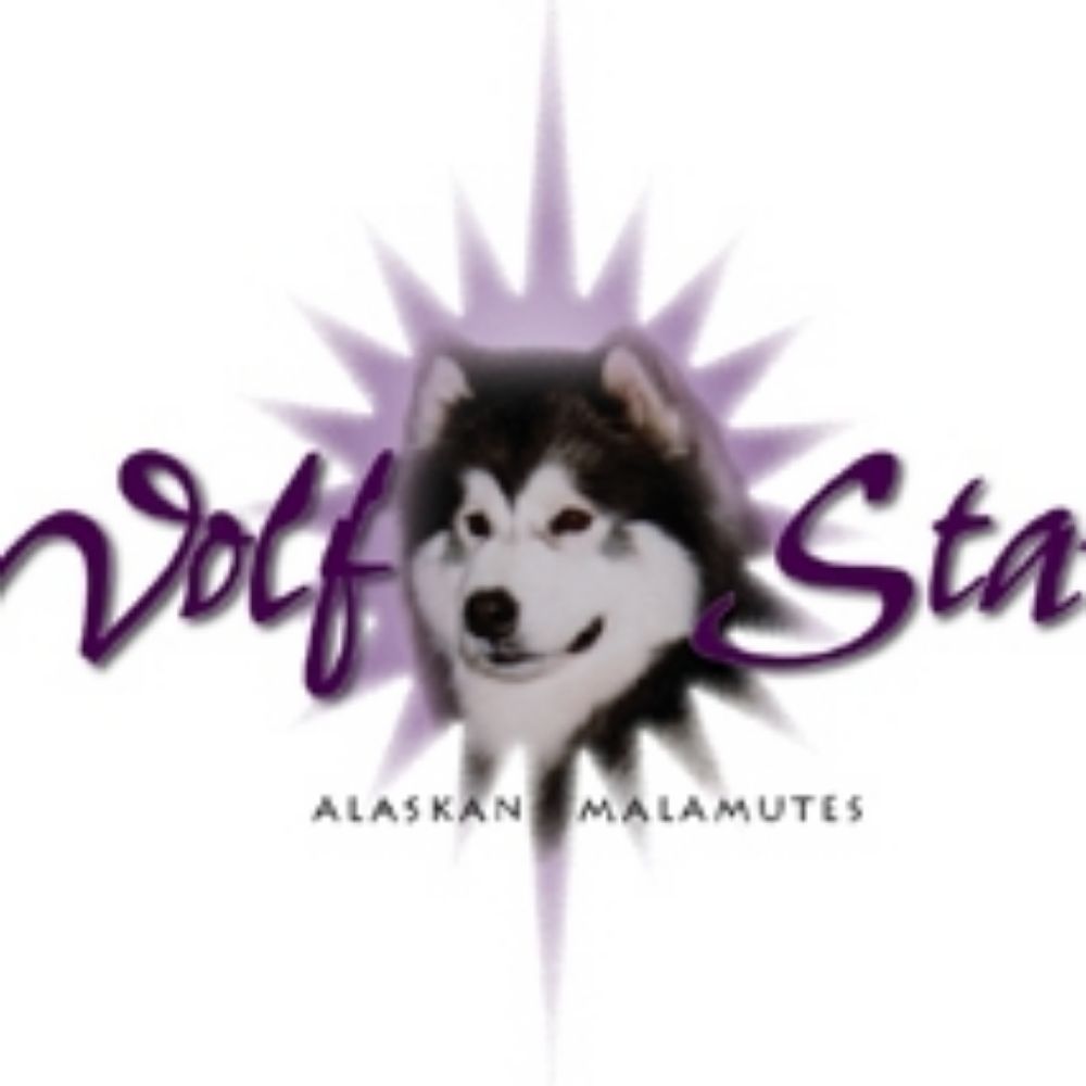 Profile picture wolfstarmals.bsky.social