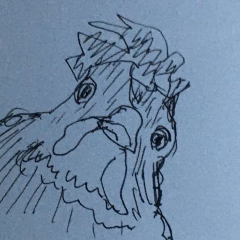 🐓ぴよた🐓