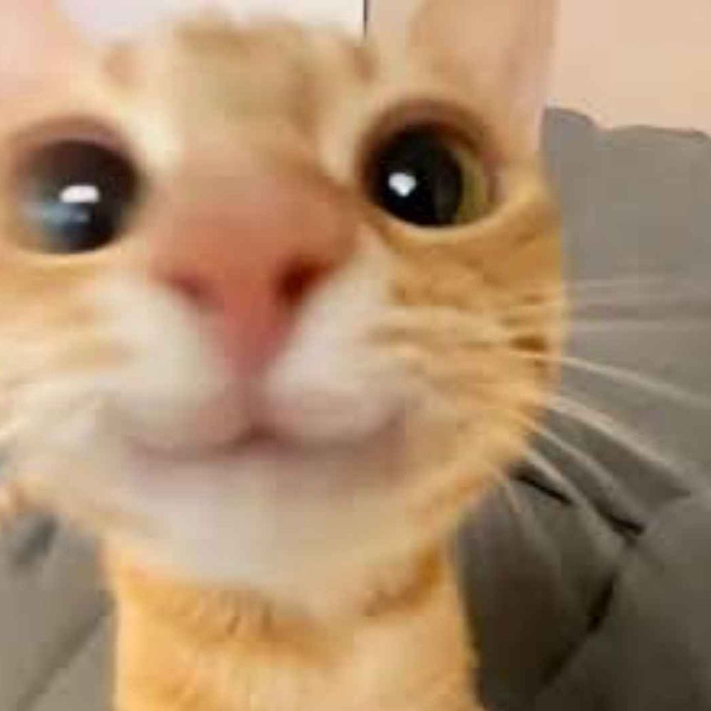 youwantsumopal.bsky.social