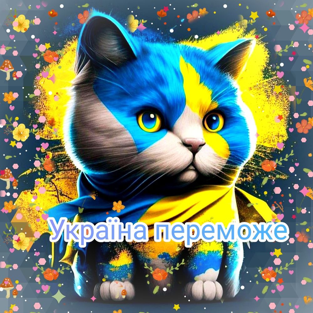 nlvukr.bsky.social's avatar