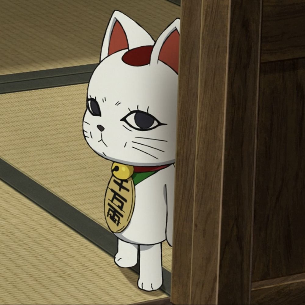 Tora